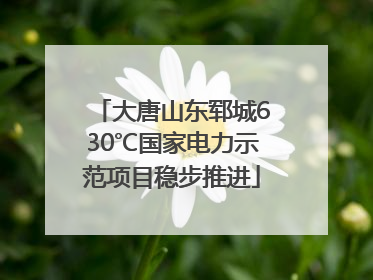 大唐山东郓城630℃国家电力示范项目稳步推进