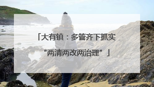 大有镇：多管齐下抓实“两清两改两治理”