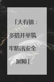 大有镇：多措并举筑牢防汛安全屏障
