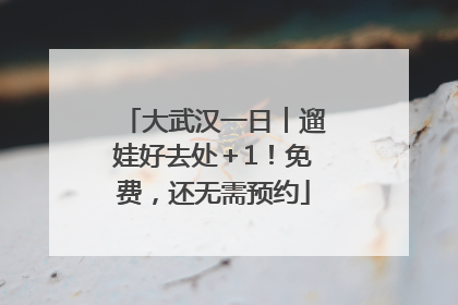 大武汉一日︱遛娃好去处＋1！免费，还无需预约