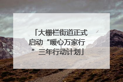 大栅栏街道正式启动“暖心万家行”三年行动计划