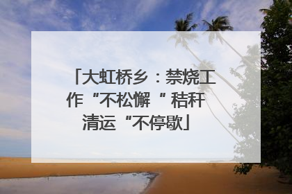大虹桥乡：禁烧工作“不松懈“ 秸秆清运“不停歇