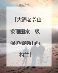 大通老爷山发现国家二级保护植物山西杓兰