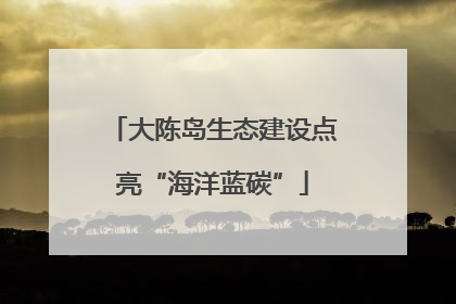 大陈岛生态建设点亮“海洋蓝碳”