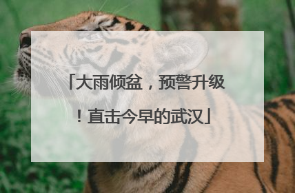 大雨倾盆，预警升级！直击今早的武汉