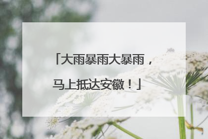 大雨暴雨大暴雨，马上抵达安徽！