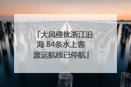 大风侵扰浙江沿海 84条水上客渡运航线已停航