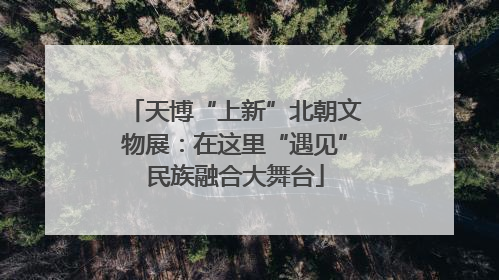 天博“上新”北朝文物展：在这里“遇见”民族融合大舞台