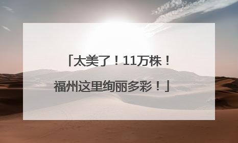 太美了！11万株！福州这里绚丽多彩！