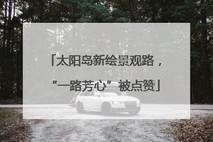 太阳岛新绘景观路，“一路芳心”被点赞