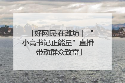 好网民·在潍坊｜“小高书记正能量”直播 带动群众致富