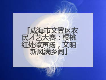 威海市文登区农民才艺大赛：樱桃红处歌声扬，文明新风满乡间