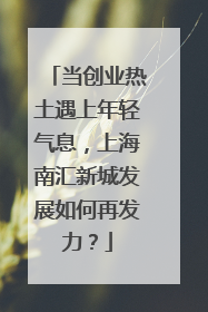 当创业热土遇上年轻气息，上海南汇新城发展如何再发力？