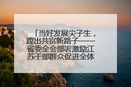 当好发展尖子生，蹚出共富新路子——省委全会部署激励江苏干部群众促进全体人民共同富裕