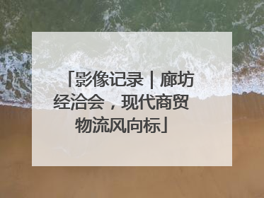 影像记录｜廊坊经洽会，现代商贸物流风向标