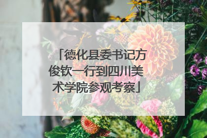 德化县委书记方俊钦一行到四川美术学院参观考察