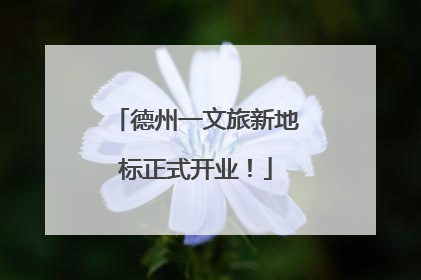 德州一文旅新地标正式开业！
