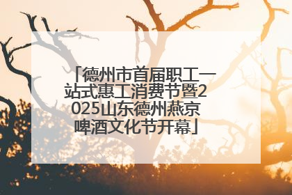 德州市首届职工一站式惠工消费节暨2025山东德州燕京啤酒文化节开幕