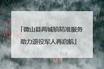 微山县两城镇精准服务助力退役军人再启航