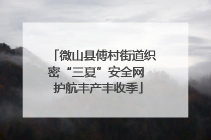 微山县傅村街道织密“三夏”安全网 护航丰产丰收季