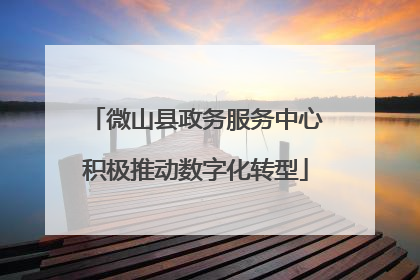 微山县政务服务中心积极推动数字化转型