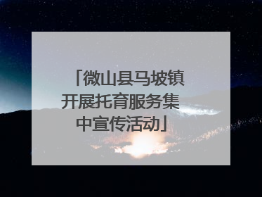 微山县马坡镇开展托育服务集中宣传活动