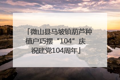 微山县马坡镇葫芦种植户巧摆“104”庆祝建党104周年