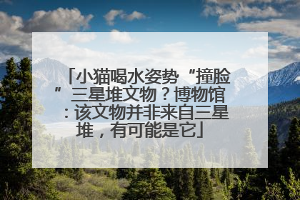 小猫喝水姿势“撞脸”三星堆文物？博物馆：该文物并非来自三星堆，有可能是它
