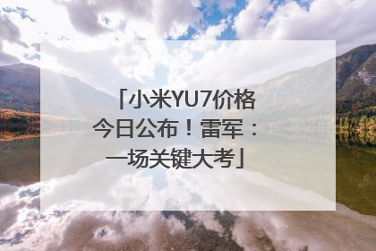 小米YU7价格今日公布！雷军：一场关键大考