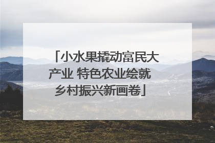 小水果撬动富民大产业 特色农业绘就乡村振兴新画卷