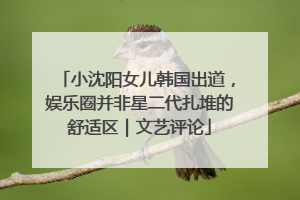 小沈阳女儿韩国出道，娱乐圈并非星二代扎堆的舒适区｜文艺评论