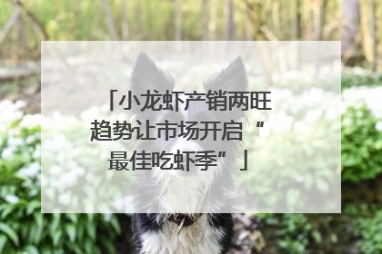 小龙虾产销两旺趋势让市场开启“最佳吃虾季”