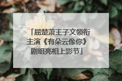屈楚萧王子文领衔主演《有朵云像你》剧组亮相上影节