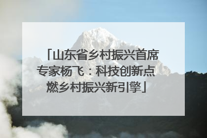 山东省乡村振兴首席专家杨飞：科技创新点燃乡村振兴新引擎