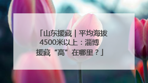 山东援藏｜平均海拔4500米以上：淄博援藏“高”在哪里？