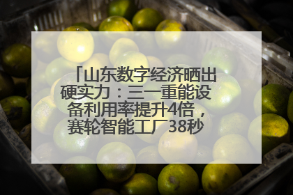 山东数字经济晒出硬实力：三一重能设备利用率提升4倍，赛轮智能工厂38秒生产一条轮胎