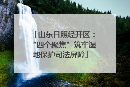 山东日照经开区：“四个聚焦”筑牢湿地保护司法屏障