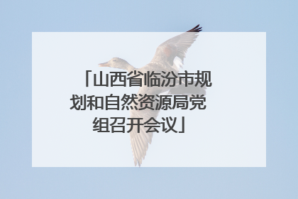 山西省临汾市规划和自然资源局党组召开会议