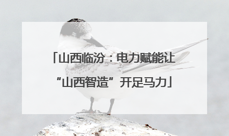 山西临汾：电力赋能让“山西智造”开足马力