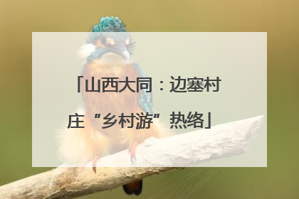 山西大同：边塞村庄“乡村游”热络