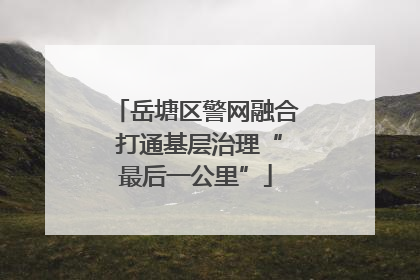 岳塘区警网融合 打通基层治理“最后一公里”