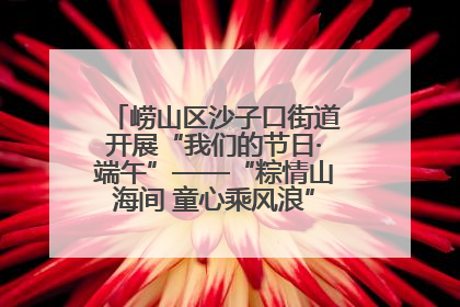 崂山区沙子口街道开展“我们的节日·端午”——“粽情山海间 童心乘风浪”文明实践活动