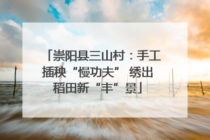 崇阳县三山村：手工插秧“慢功夫” 绣出稻田新“丰”景