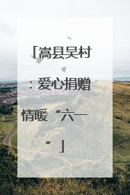 嵩县吴村：爱心捐赠情暖“六一”