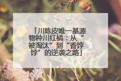 川陈皮唯一基源物种川红橘：从“被淘汰”到“香饽饽”的逆袭之路