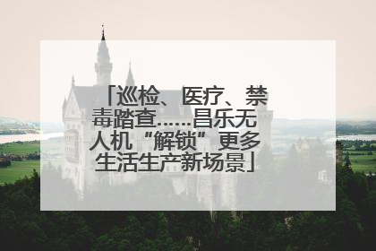 巡检、医疗、禁毒踏查……昌乐无人机“解锁”更多生活生产新场景