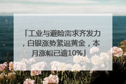 工业与避险需求齐发力，白银涨势紧逼黄金，本月涨幅已逾10%