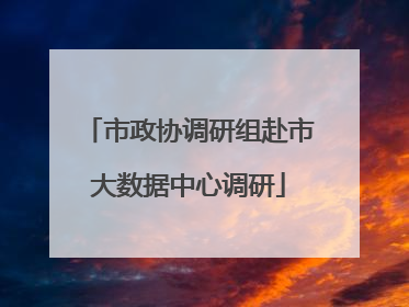 市政协调研组赴市大数据中心调研
