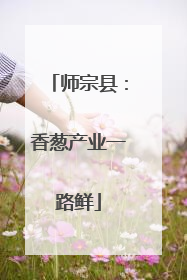 师宗县：香葱产业一路鲜