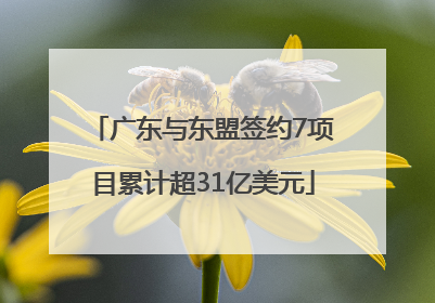 广东与东盟签约7项目累计超31亿美元